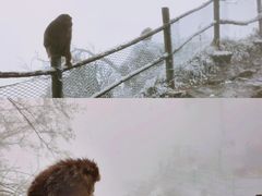 -峨眉山风景名胜区