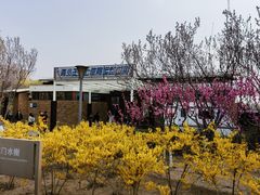 -大兴滨河森林公园