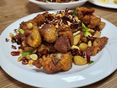 -百福麵家(新馬路店)