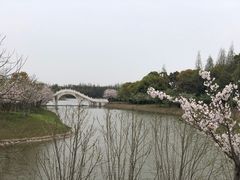 -上海海湾国家森林公园