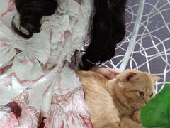 -藏猫猫咖啡主题馆(中央大道店)