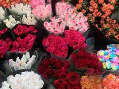 -双季花艺园艺市场(浦东店)