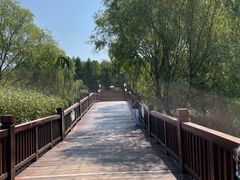 -苏州太湖国家湿地公园