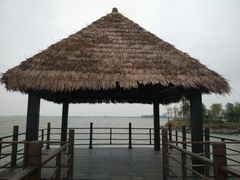 -瑶湖郊野森林公园