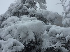 -西岭雪山大飞水景区