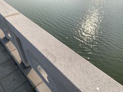 -南湖湿地公园