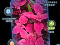 -CGV影城(滨江天街IMAX店)