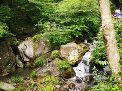 -藏龙百瀑风景区