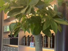-鹿栖.精油SPA(金山世纪城店)
