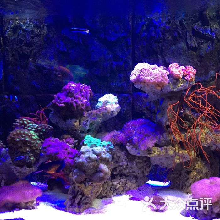 太平洋海底世界博览馆