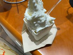 -野人先生现做冰淇淋(北京环宇荟店)