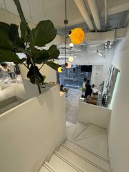 -I+造型烫发染发
