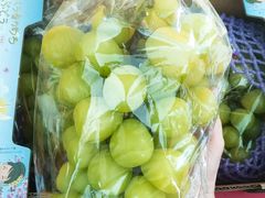 -山姆会员商店(杨桥西路店)