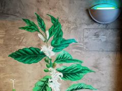 -星巴克(上海虹桥南丰城办公楼店)