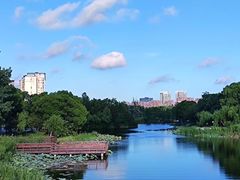 -新江湾城公园