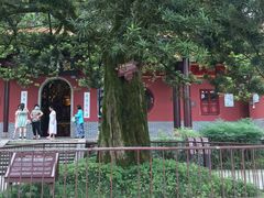 -岳麓山风景名胜区