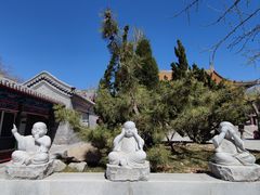 -天津大悲禅院