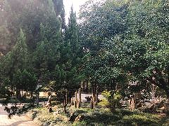 -南通博物苑-崇川人民公园