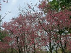 -金山公园