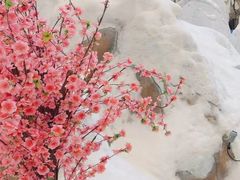 -湘江欢乐城欢乐雪域