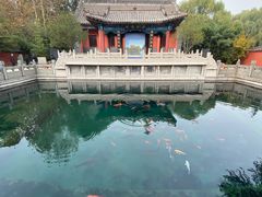 -百脉泉景区