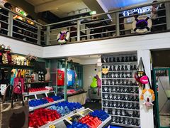 -猫咪博物馆(顶澳仔猫街店)