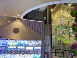点击看大图 -meland club亲子乐园(石家庄万象城店)