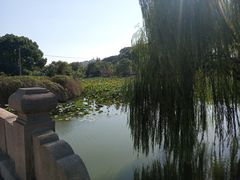 -石湖景区
