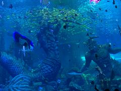 -波塞冬旅游度假区