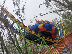 -苏州乐园森林水世界