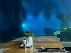 -涛·海底餐厅·美人鱼·自助餐·海底隧道(三亚海棠湾洲际度假酒店)