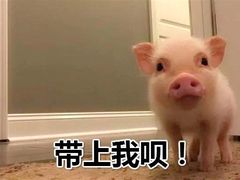 -Y&Y创意真人密室逃脱馆(人民广场步行街店)