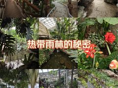 -石家庄市植物园