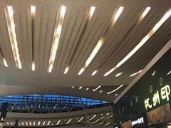 -小杨生煎(萧山机场店)