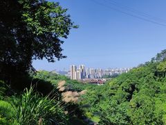 -白公馆