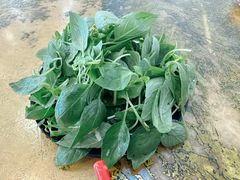 -惠丰源烩面馆(经七路店)