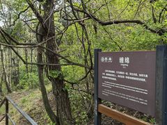 -沂蒙山旅游区云蒙景区(蒙山国家森林公园)