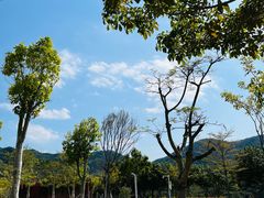 -白石龙音乐公园