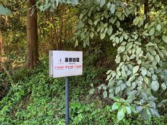 -都江堰中华大熊猫苑