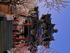 -颐和园
