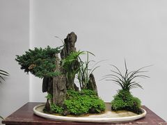 -成都杜甫草堂博物馆