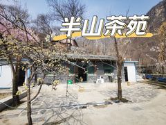 -北京上方山国家森林公园