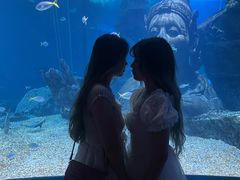 -暹罗海洋世界