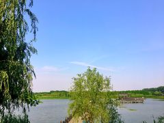 -溱湖国家湿地公园