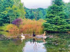 -白马涧龙池景区