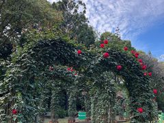 -人民公园(罗湖区)