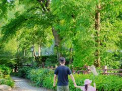 -素山寺森林公园