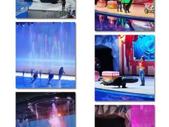 -上海海昌海洋公园