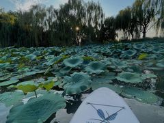 -WhaleSports户外水上运动俱乐部(朝阳公园店)