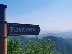 -大岭沟猕猴桃谷风景区